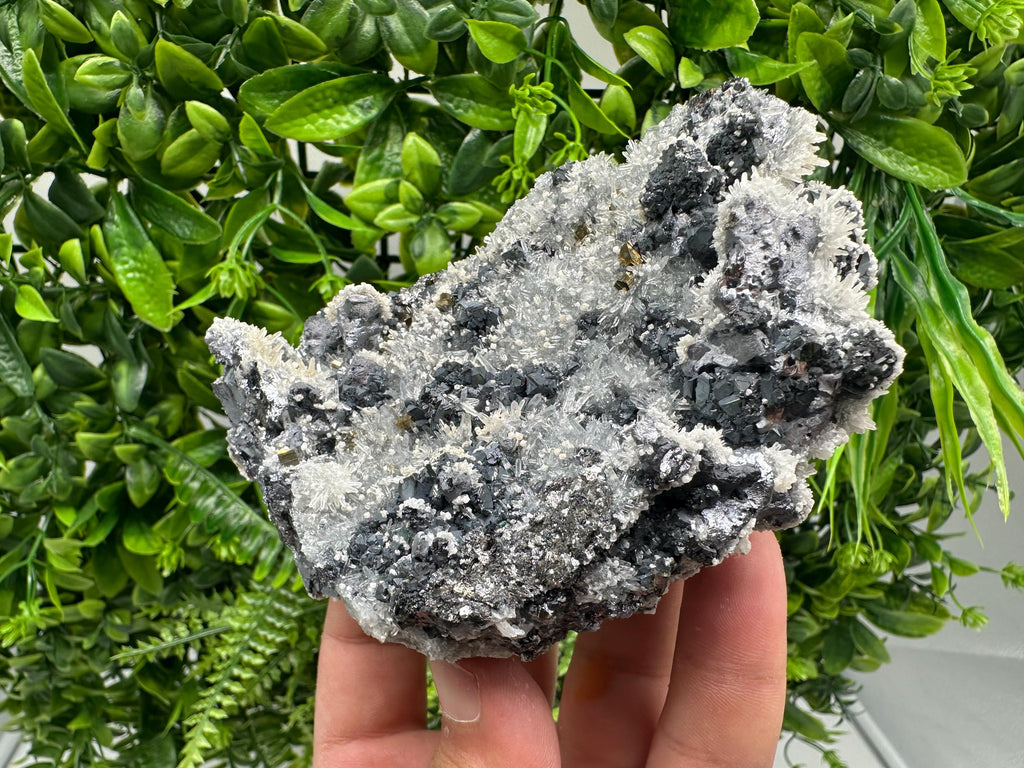 Galena Quartz Pyrite Mineral Specimen: Krushev Dol Mine, Bulgaria
