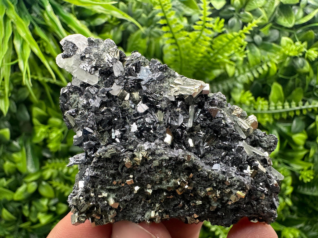 Sphalerite on Quartz with Pyrite, Borieva Mine Mineral Specimen