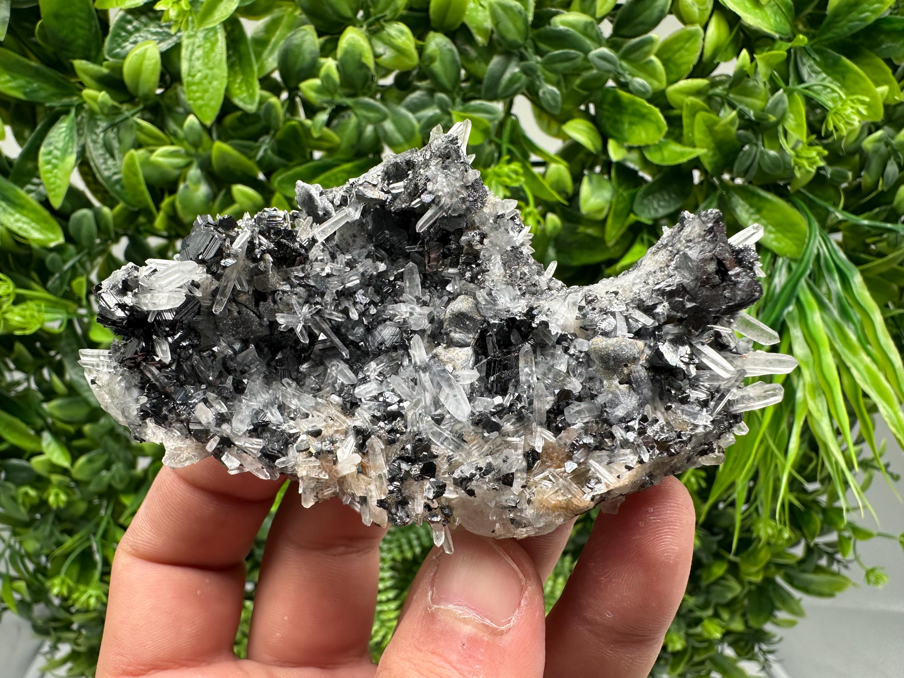 Wonderful Sphalerite Chalcopyrite on  Quartz whit Galena feom 9 th September mine,Bulgaria,natural,collection mineral specimen,gift