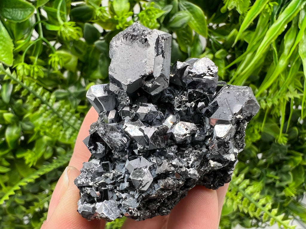 Galena Spinel Law on Sphalerite, Borieva Mine Mineral Specimen