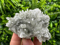 Chlorite Quartz Cluster, Borieva Mine Mineral Specimen, Bulgaria