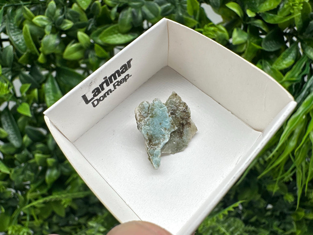 Rare Raw Larimar Specimen: Dom. Rep. Mineral Collection (20mm)