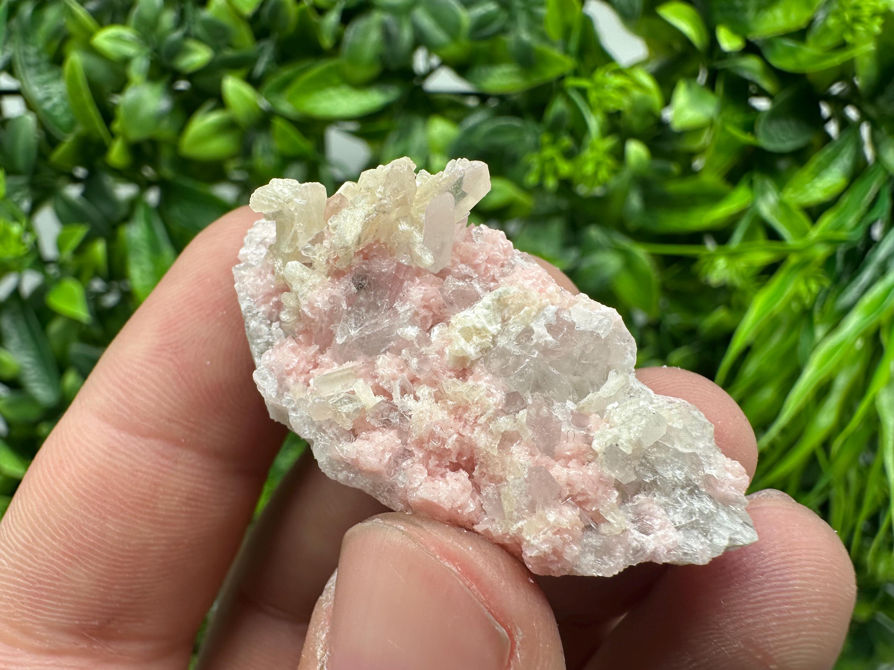 Rhodochrosite on Quartz, Starnica Mine, Bulgaria