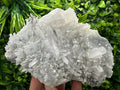Transparent Quartz Crystal, Borieva Mine Bulgaria, Mineral Specimen