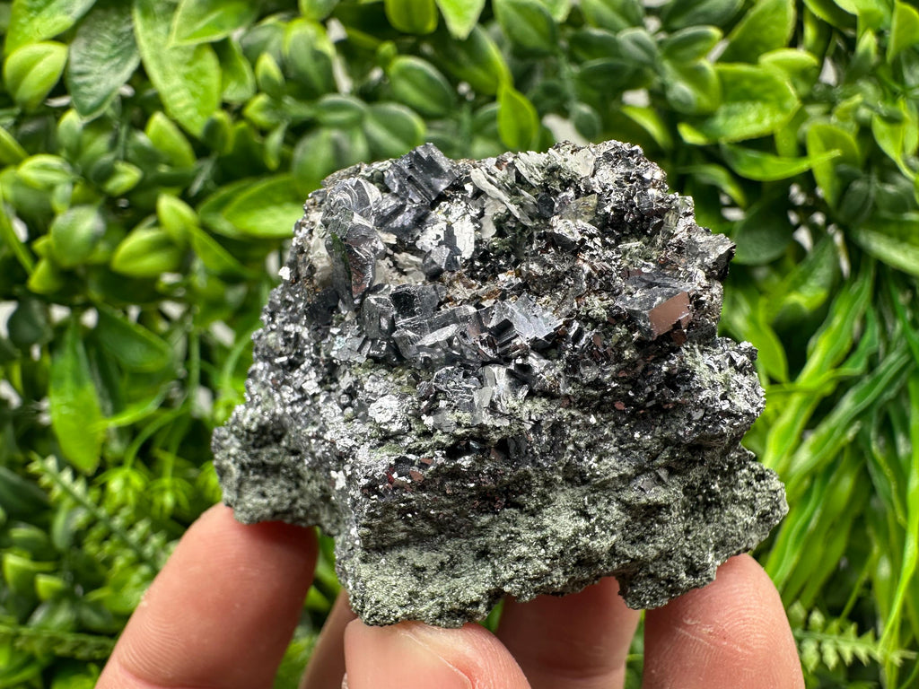 Skeletal Galena on Chlorite Matrix, Borieva Mine Mineral Specimen