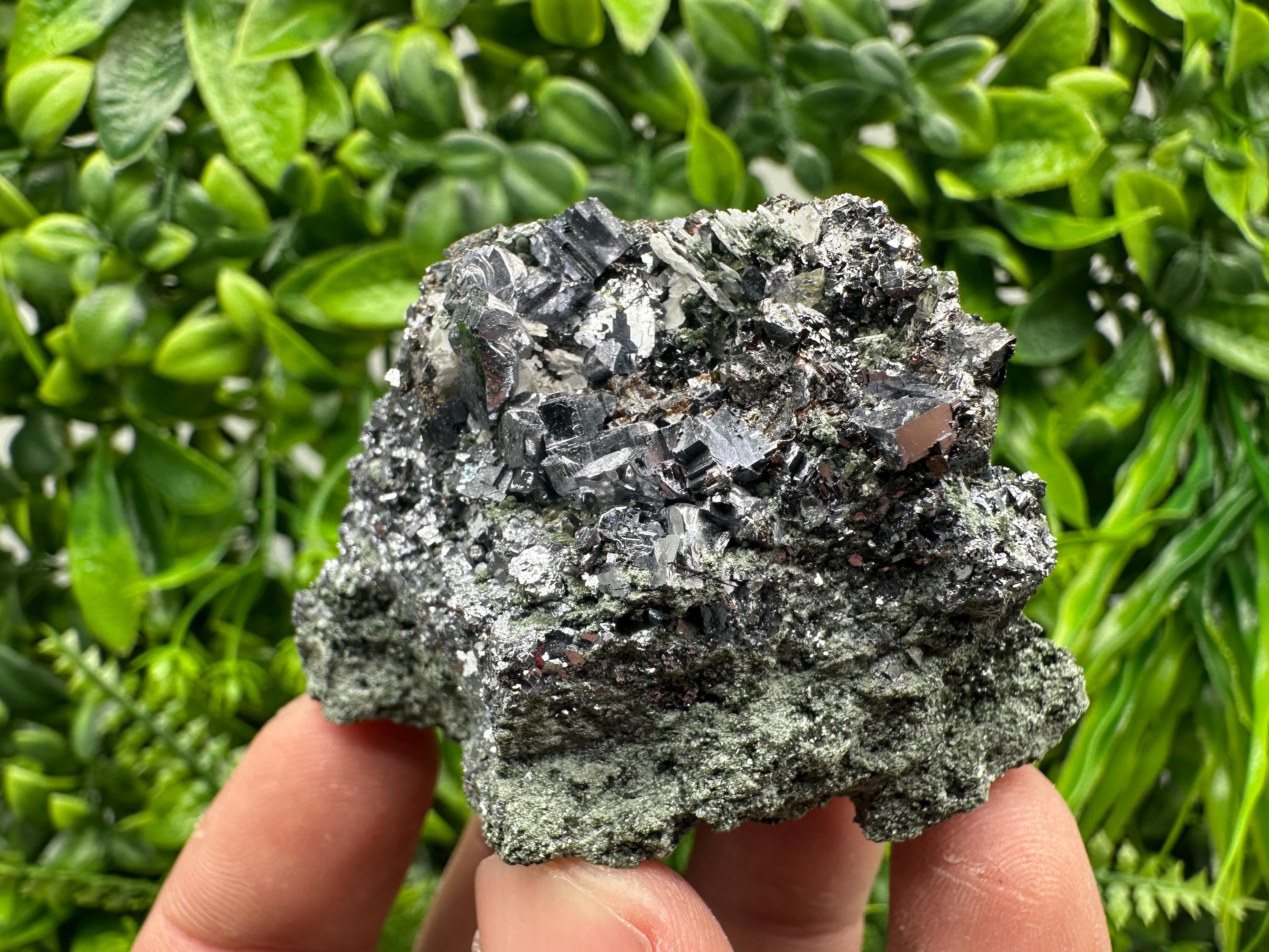 Skeletal Galena on Chlorite Matrix, Borieva Mine Mineral Specimen