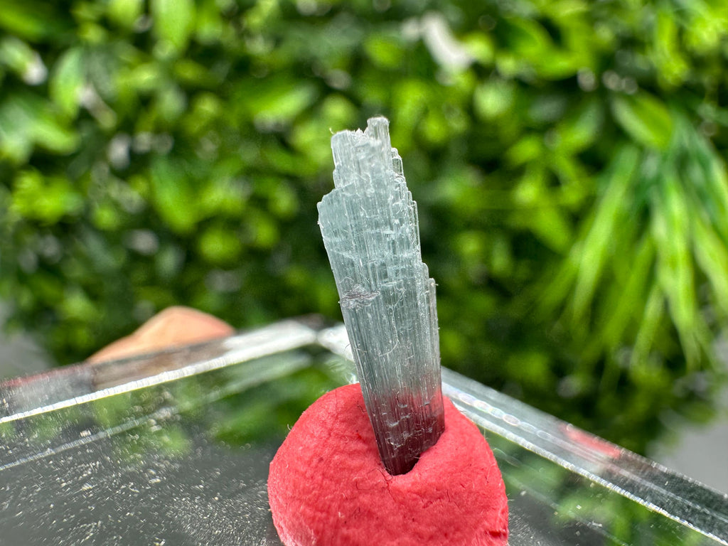 Rare Pink & Green Rubellite Tourmaline Rough Pencil - 15mm