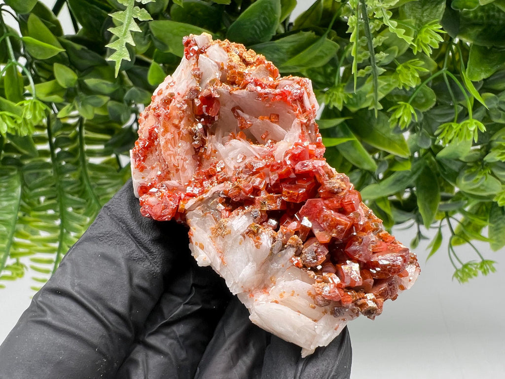 Red Vanadinite on Barite from Marocco,crystal minerals Speciment cluster Vanadinite crystal Vanadinite Geology Vanadinite cluster minerals