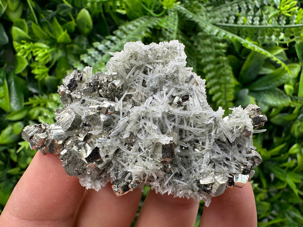 Pyrite on Green Quartz Specimen, Borieva Mine, Bulgaria