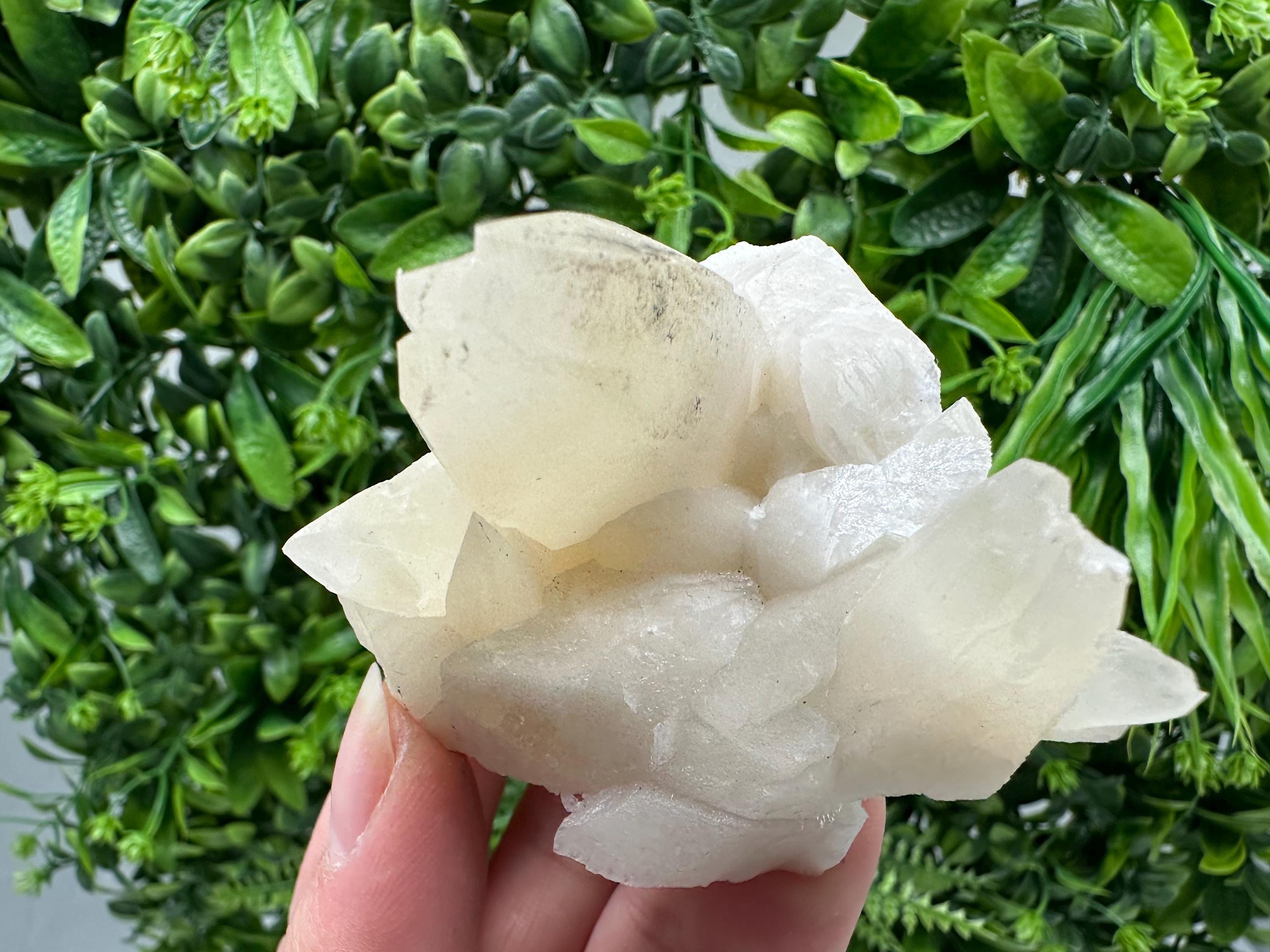 Calcite on Green Quartz: Laki Bulgaria Healing Crystal