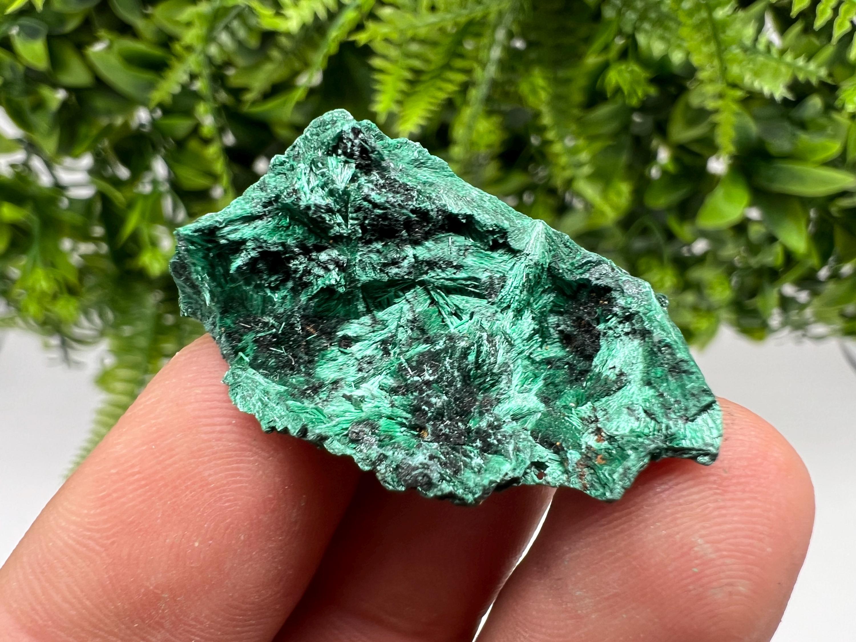 Malachite Crystal from Congo,Minerals,Crystals from Congo,Green Malachite, Malachite,Natural Malachite,Malachite Stone,Chakra, Specimens