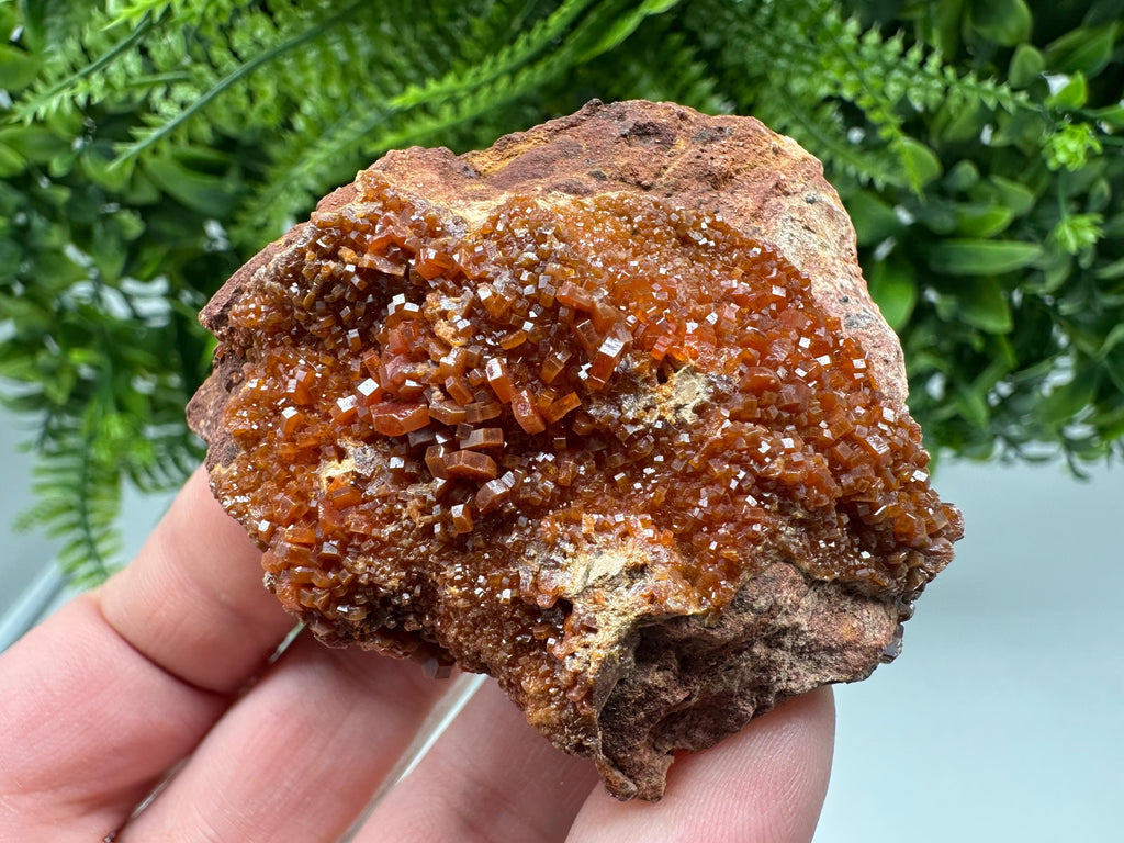 Red Vanadinite on Matrix from Marocco,crystal minerals Speciment cluster Vanadinite crystal Vanadinite Geology Vanadinite cluster minerals