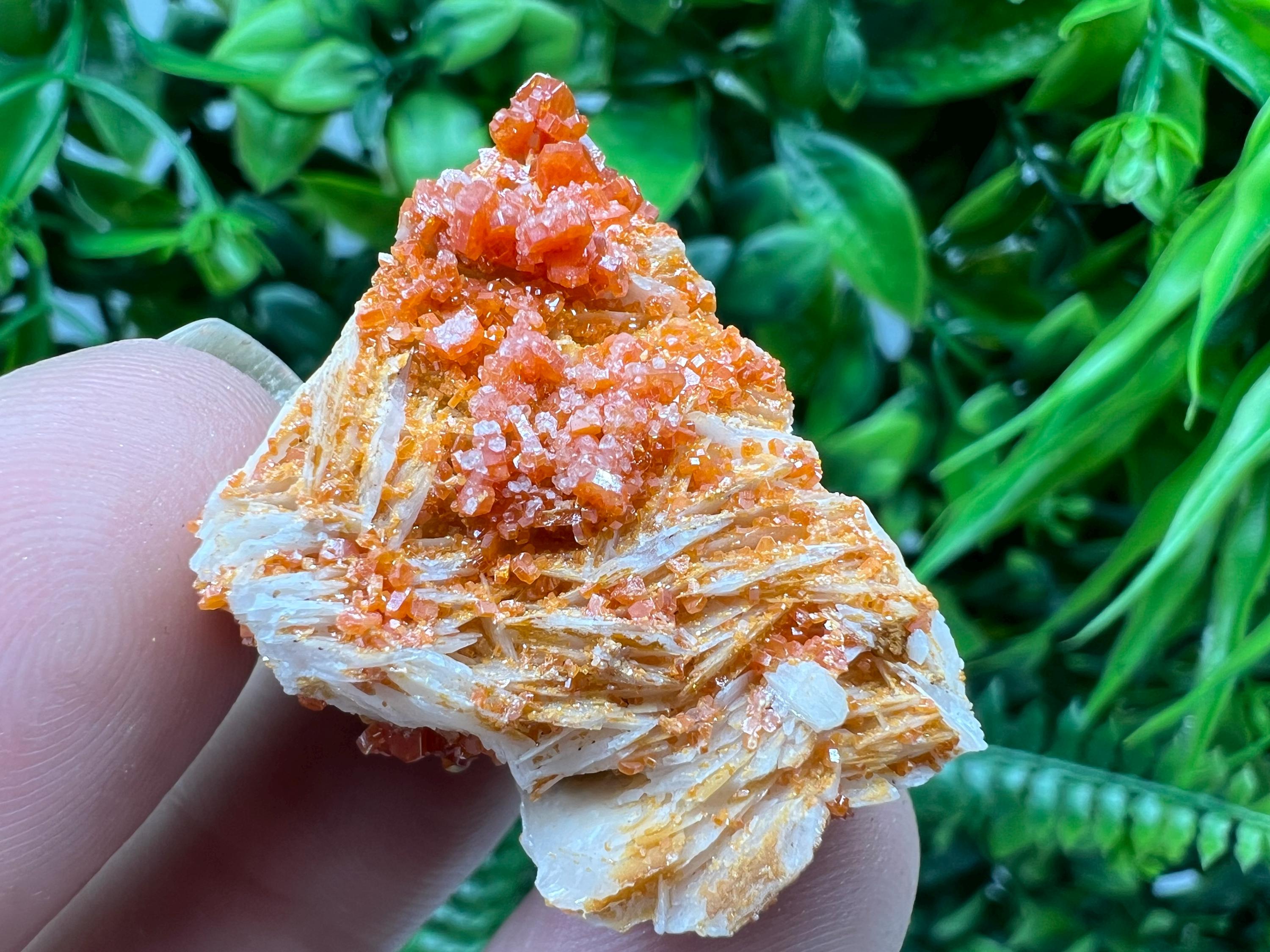 Red Vanadinite on Barite from Marocco,crystal minerals Speciment cluster Vanadinite crystal Vanadinite Geology Vanadinite cluster minerals