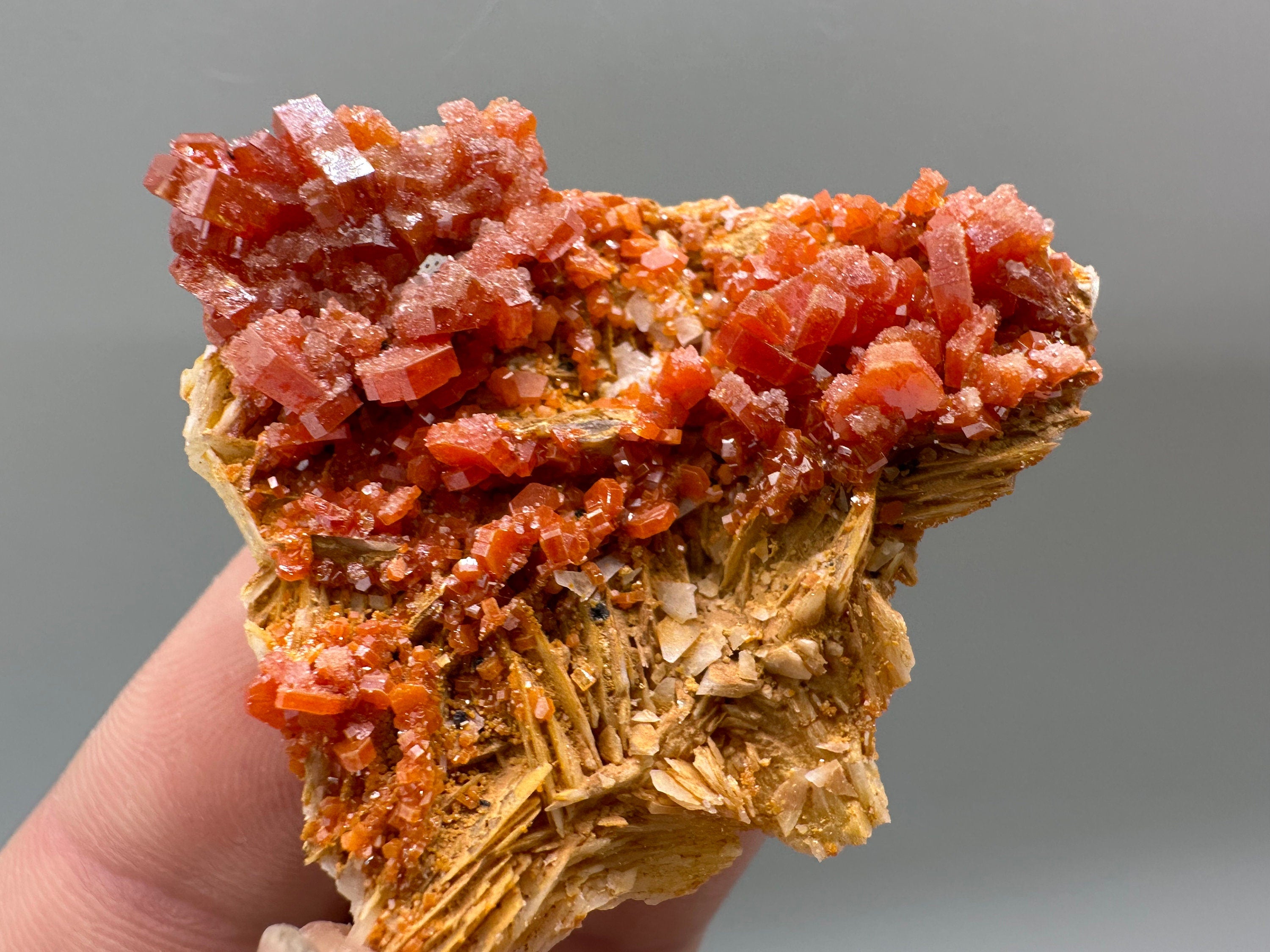 Red Vanadinite Crystal Cluster on Matrix, Morocco Mineral Specimen