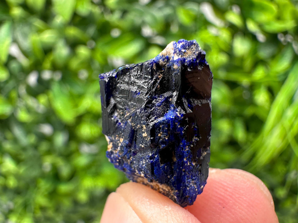 Crystallized Azurite-Kerrouchen,Morocco-Blue Azurite Specimen-High Quality Blue Azurite-Azurite Mineral Specimen, gemmy,lustrous of Azurite