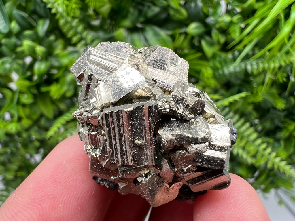 Golden Pyrite Cluster, Sphalerite Mineral Specimen, Madan Bulgaria