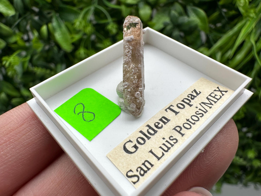 Golden Topaz Crystal, Mineral Specimen from Mexico