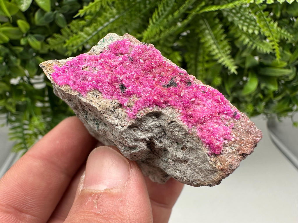 Cobalto Calcite Crystal, Republic of Congo Pink Mineral