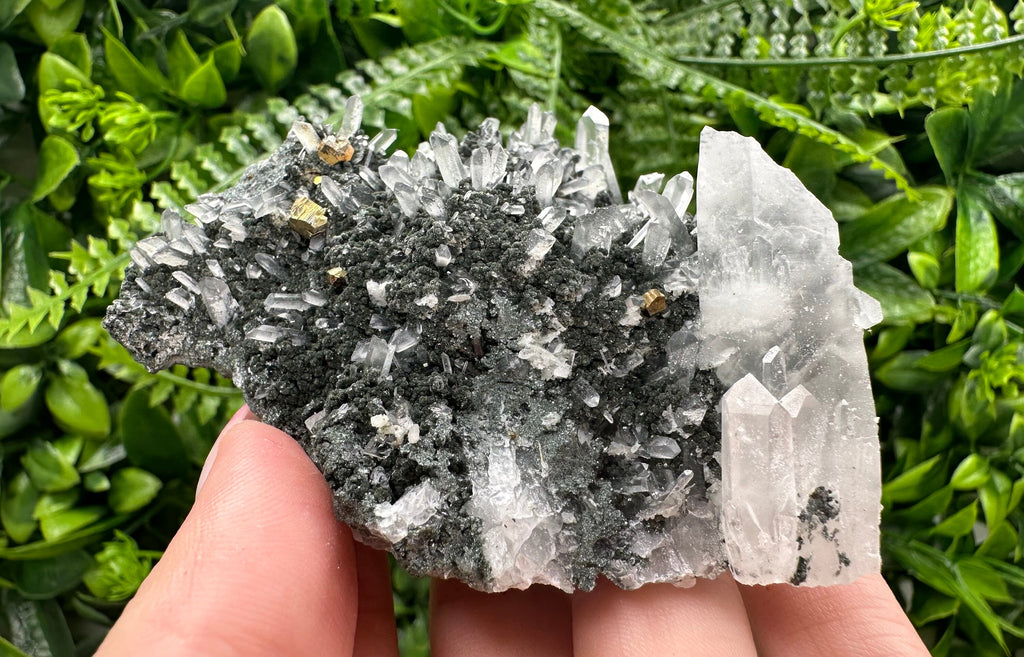 Quartz Calcite Chlorite Crystal: Borieva Mine, Bulgaria