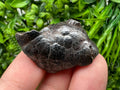 Botryoidal Black Hematite Specimen: Moroccan Crystal, Reiki Chakra Stone
