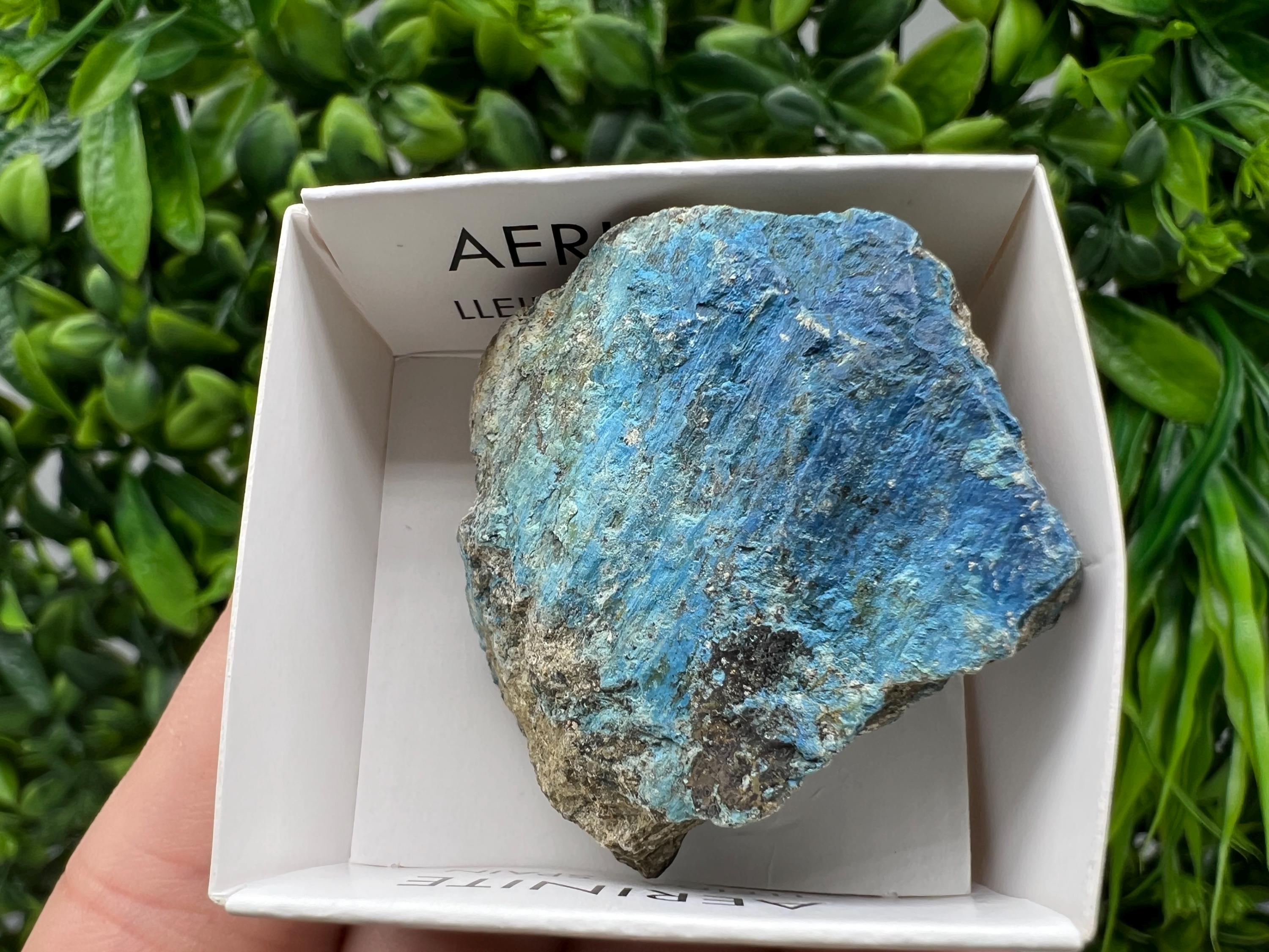 Rare Raw Aerinite Mineral Specimen: Lleida, Spain Crystal Collection (3.5/4 CM)