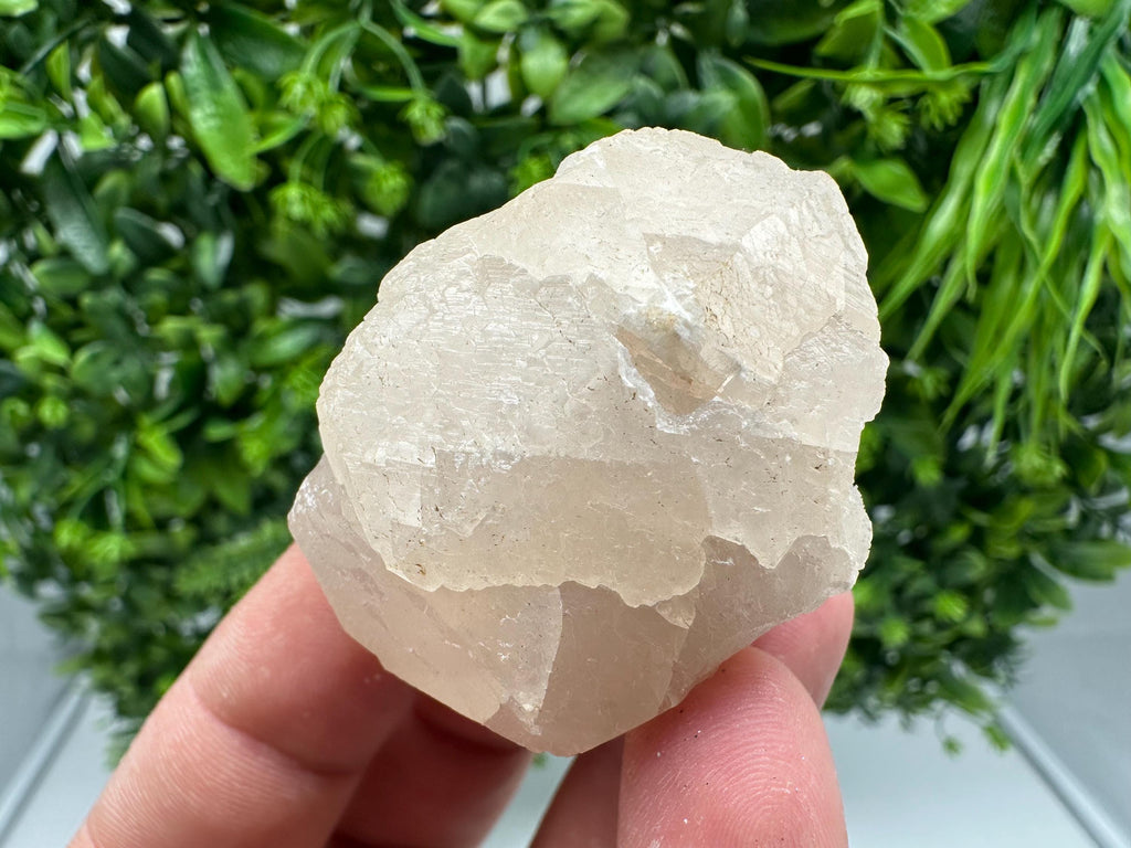 UV Mangano Calcite: Borieva Mine, Bulgaria Crystal Decor