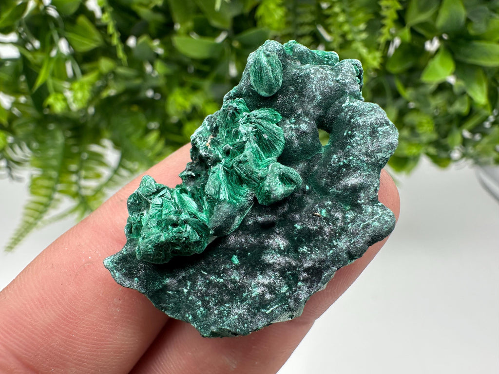 Malachite Crystal from Congo,Minerals,Crystals from Congo,Green Malachite, Malachite,Natural Malachite,Malachite Stone,Chakra, Specimens