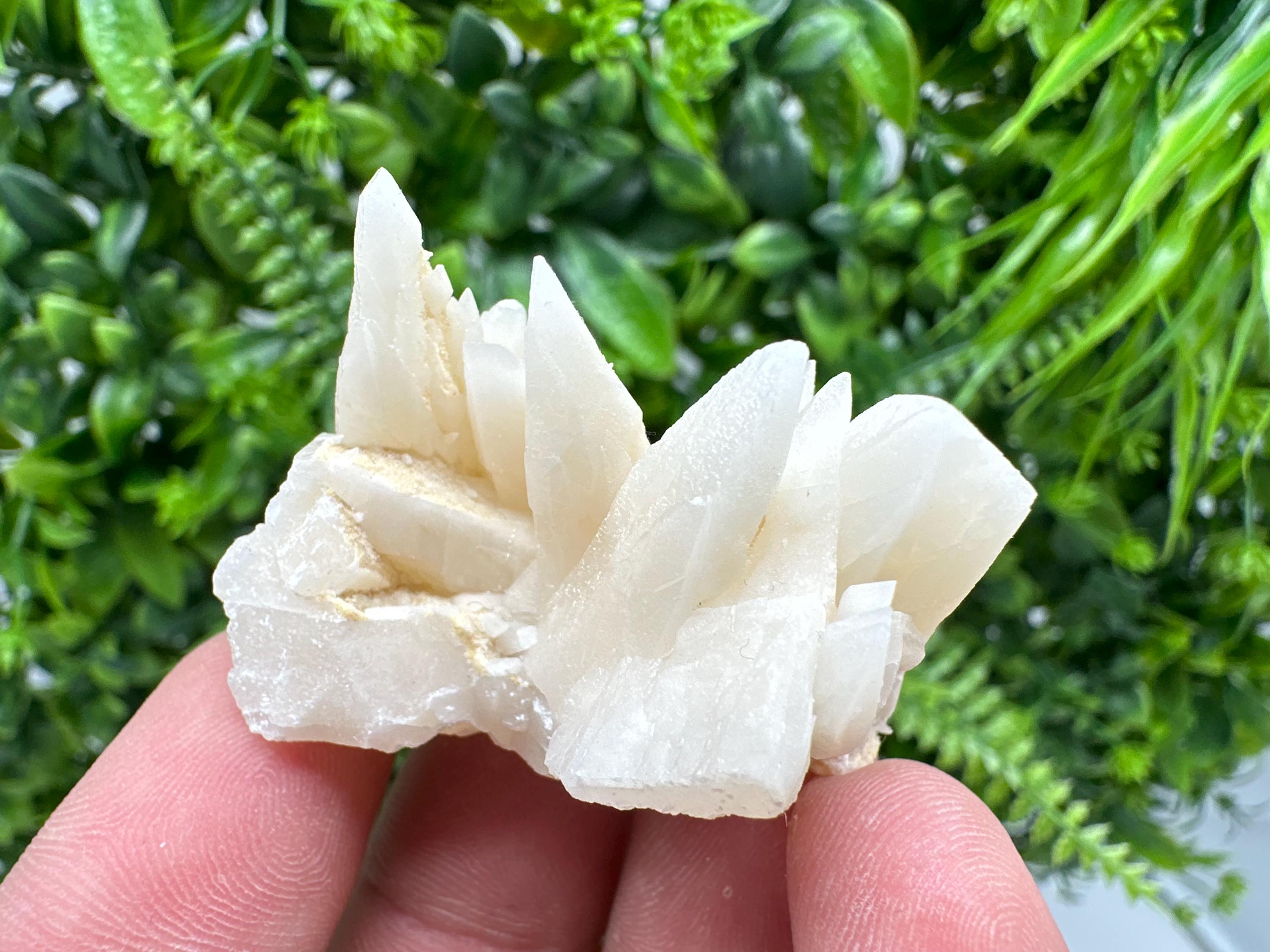 Calcite on Aragonite: Djurcovo Mine, Bulgaria Healing Crystal