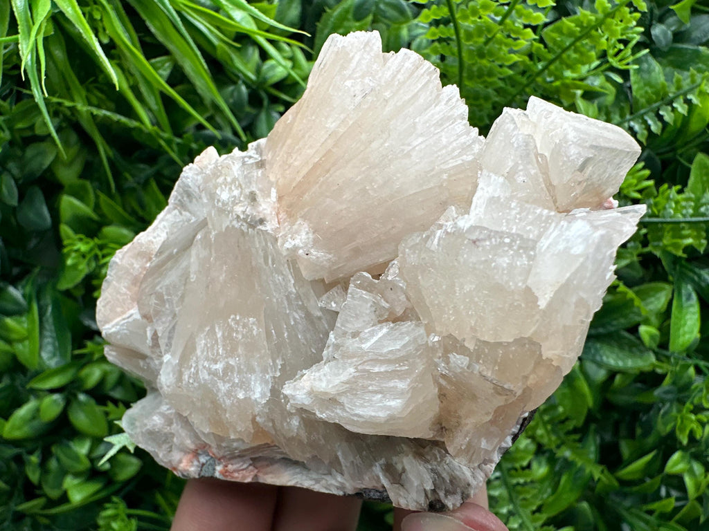 Stilbite on Matrix, Natural Crystal Mineral Specimen, India