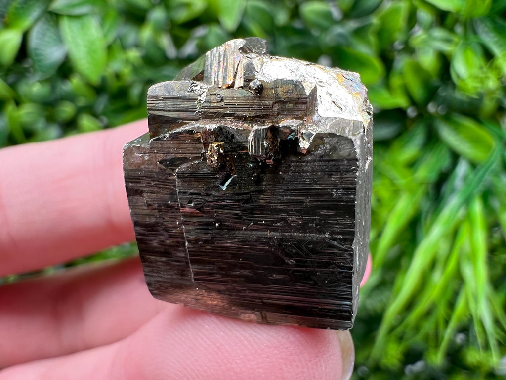 Rainbow Pyrite with Calcite, Natural Minerals from Borieva Bulgaria