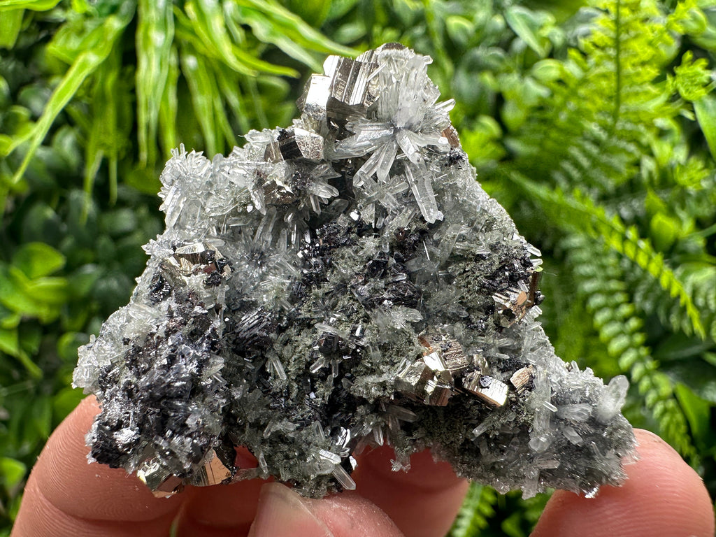 Pyrite Sphalerite Galena on Quartz: Bulgaria Borieva Mine Crystal Cluster