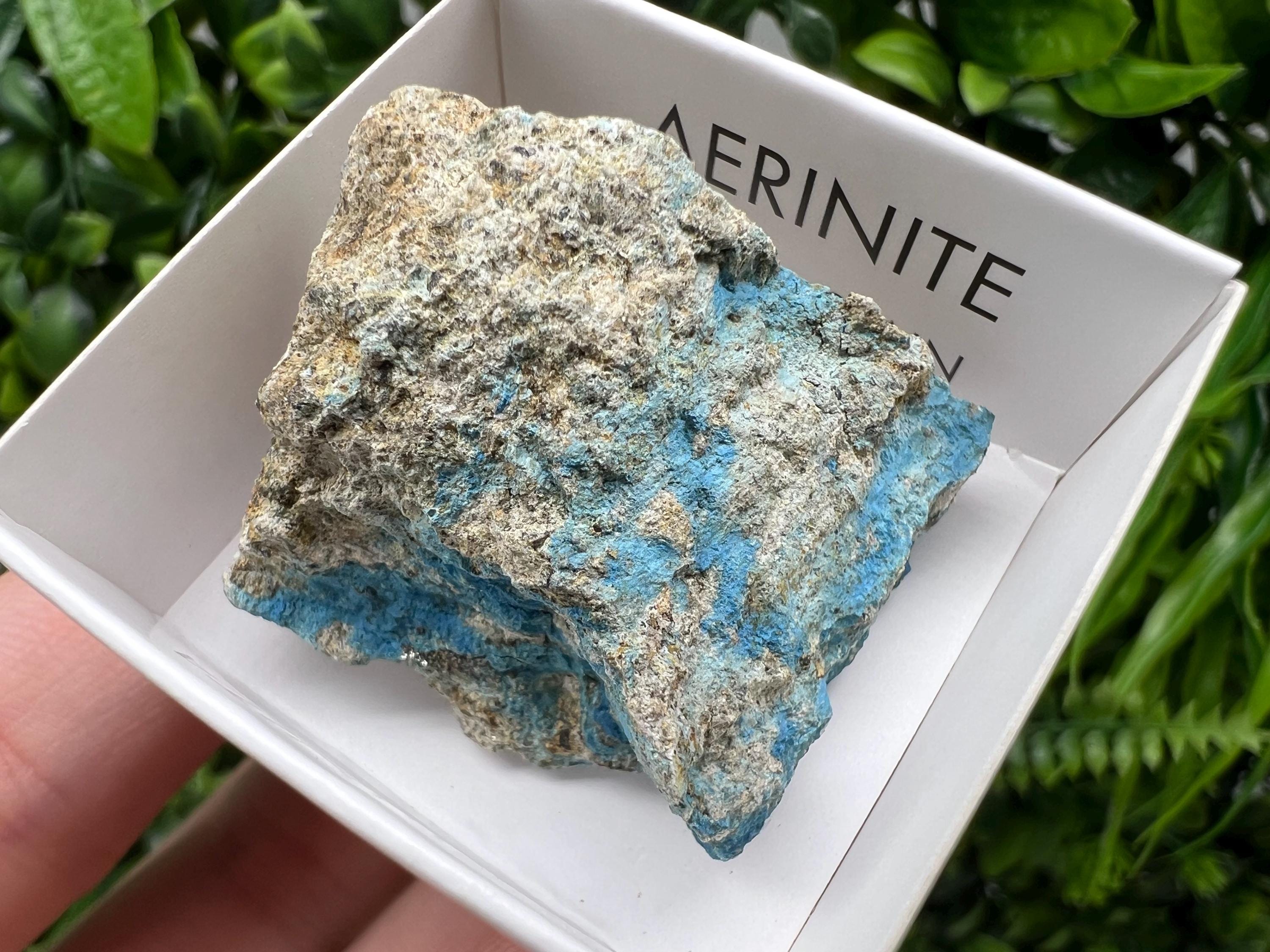 Rare Raw Aerinite Mineral Specimen: Collection Crystal from Lleida, Spain (3.5/3.5cm)