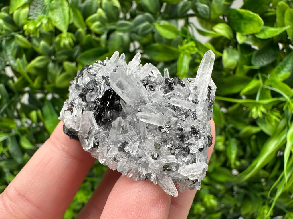 Wonderful Sphalerite Chalcopyrite on  Quartz whit Galena feom 9 th September mine,Bulgaria,natural,collection mineral specimen,gift