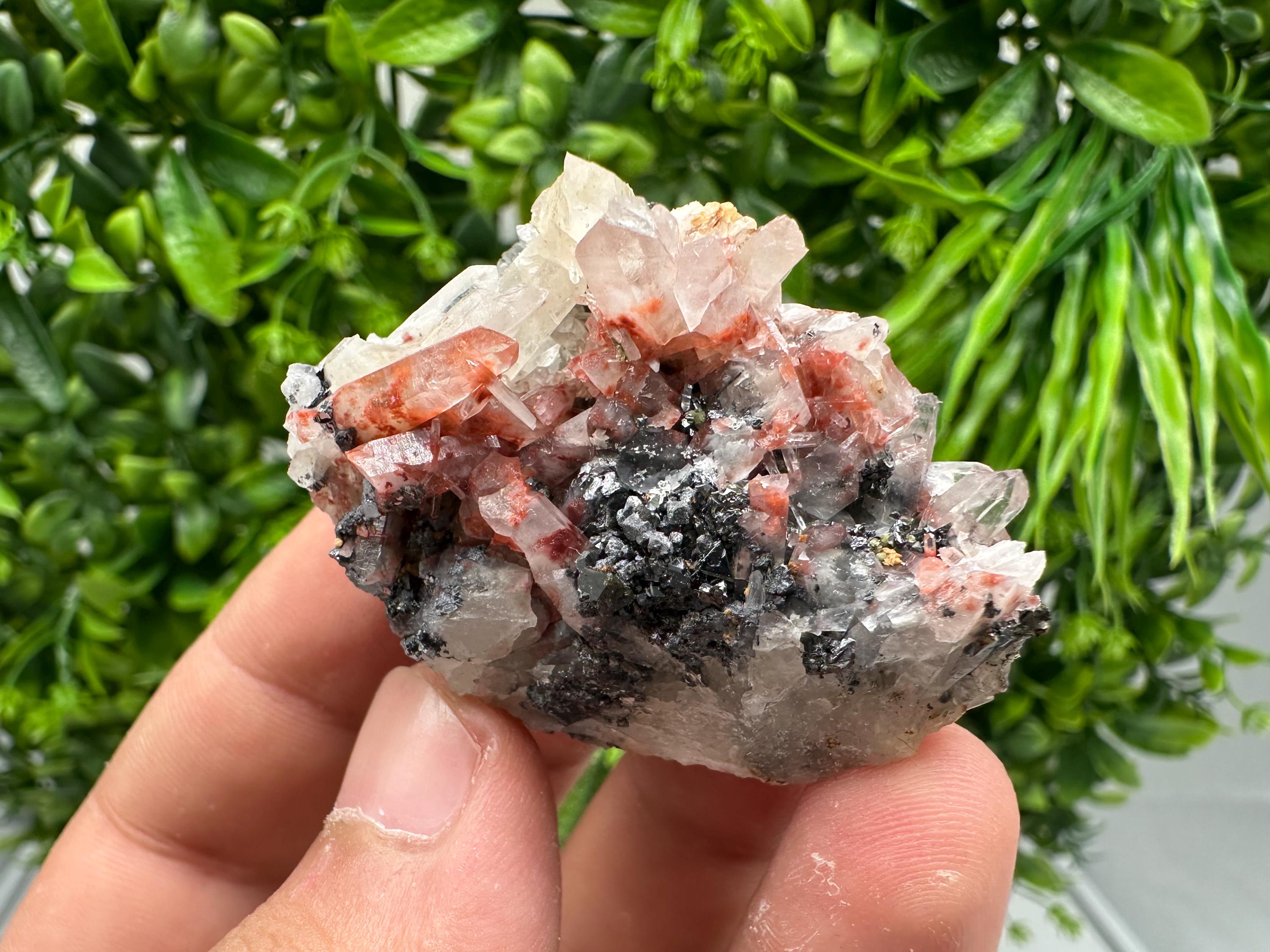 Quartz with Hematite & Iron Oxide: Collectible Mineral Specimen, 9th September Mine