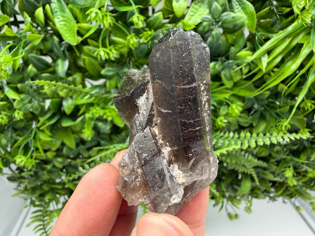 Rare Smoky Quartz Crystal Cluster, Mineral Specimen from Brazil