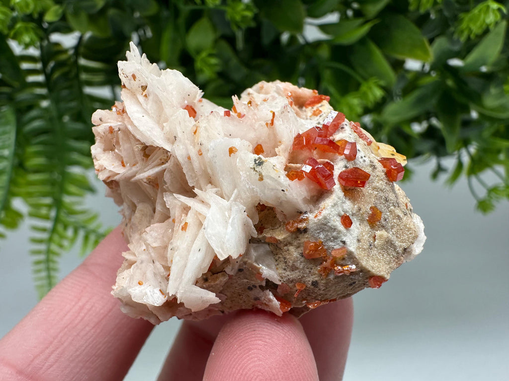 Red Vanadinite on Barite from Marocco,crystal minerals Speciment cluster Vanadinite crystal Vanadinite Geology Vanadinite cluster minerals