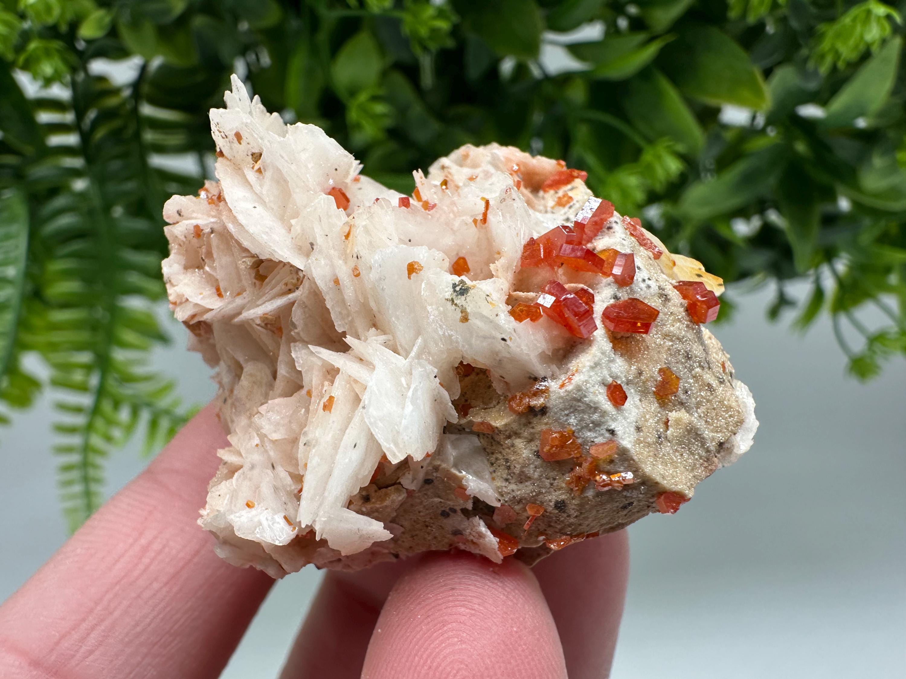 Red Vanadinite on Barite from Marocco,crystal minerals Speciment cluster Vanadinite crystal Vanadinite Geology Vanadinite cluster minerals