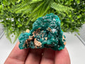 Stunning Green Dioptase from Sanda Hills,Mindouli,Pool Department,Mindouli District,Congo,green Dioptase,Dioptas Crystal,Dioptase collecting