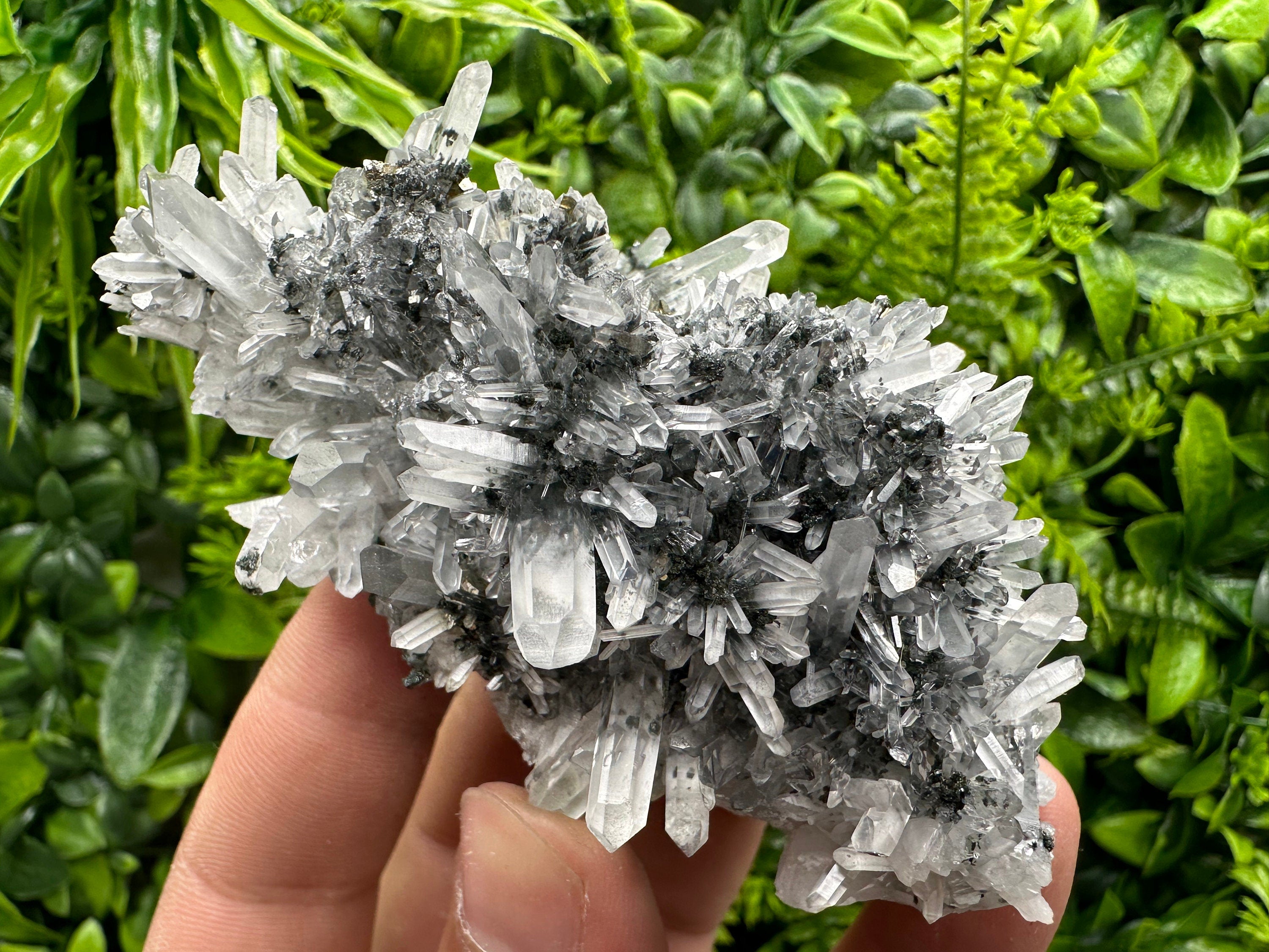 Pyrite Hematite Quartz Calcite Crystal Mineral Specimen