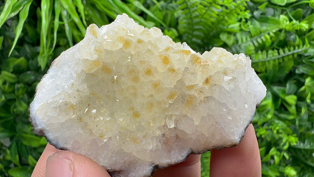 Citrine Crystal Cluster with Hematite Inclusions - Brazil