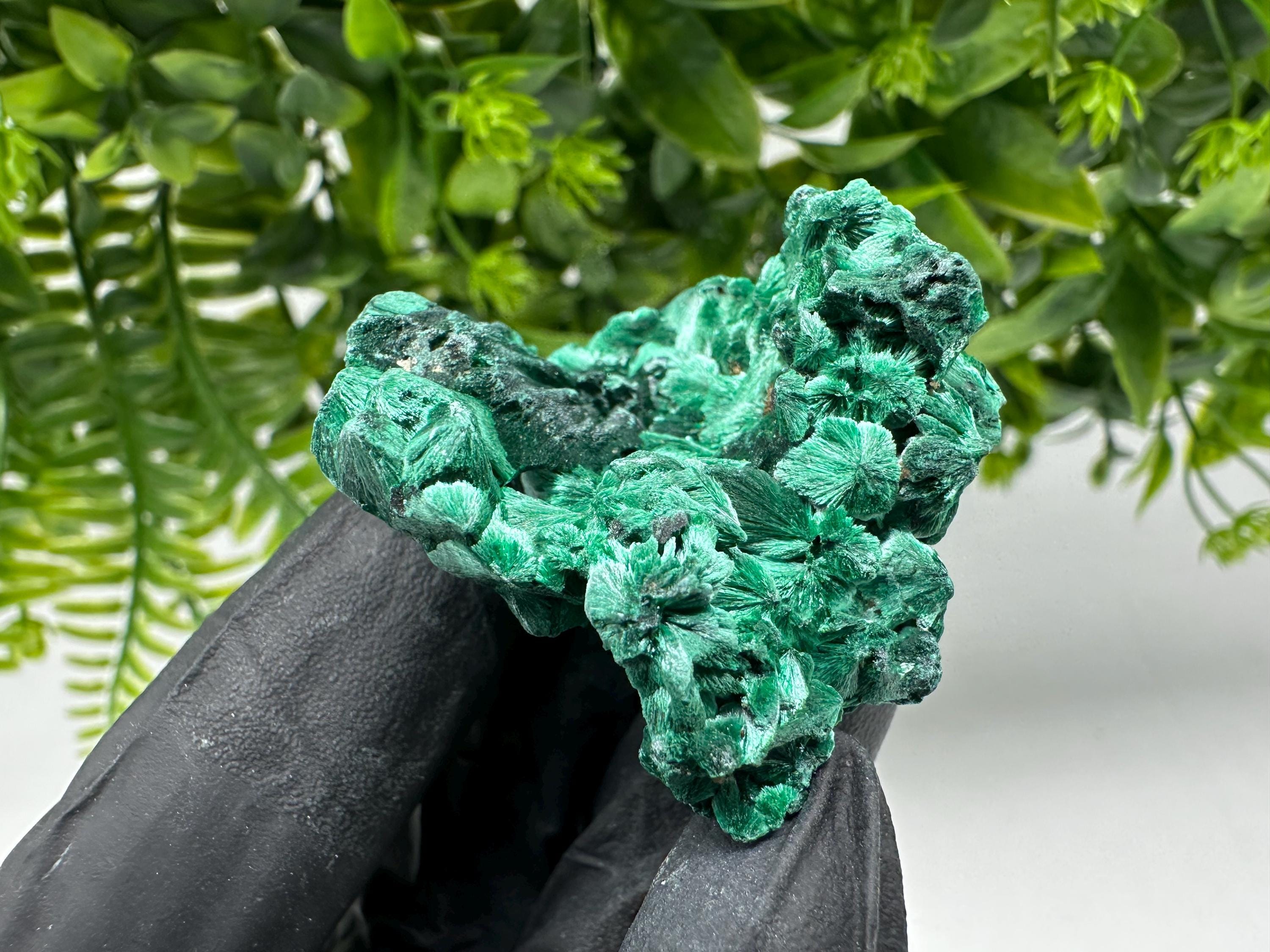 Malachite Crystal from Congo,Minerals,Crystals from Congo,Green Malachite, Malachite,Natural Malachite,Malachite Stone,Chakra, Specimens
