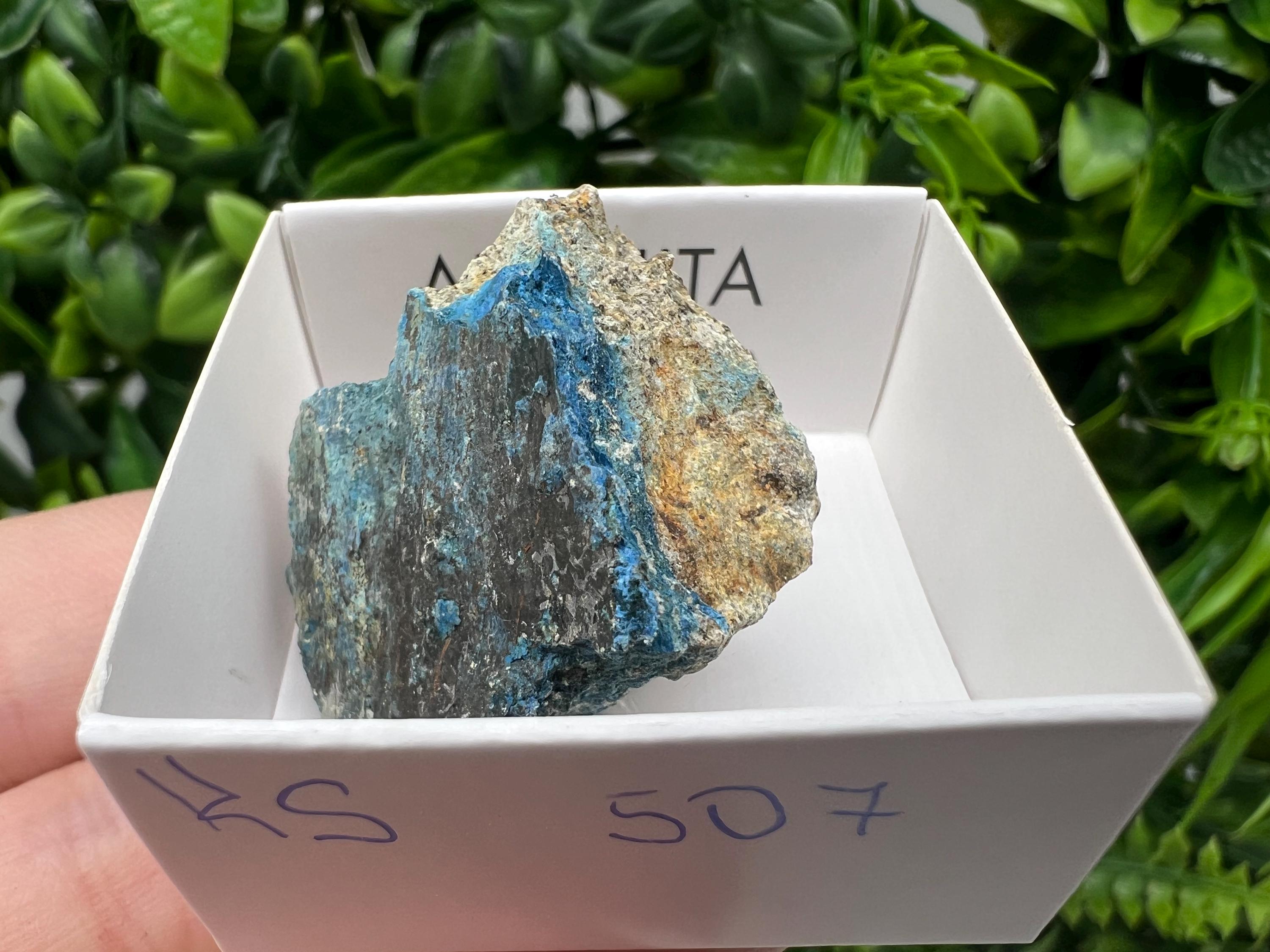 Rare Raw Aerinite Mineral Specimen: Lleida, Spain Collection Crystal