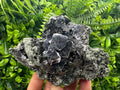 Shiny Galena Sphalerite on Quartz: Natural Mineral Souvenir