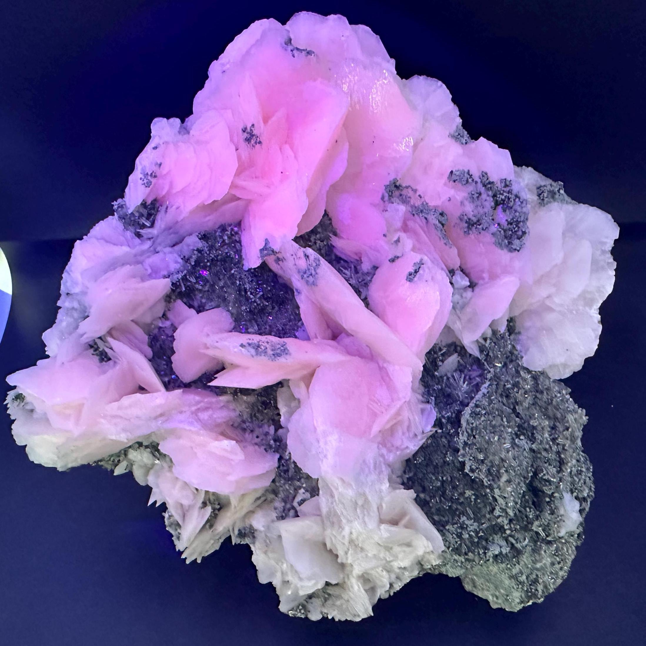 Large Mangano Calcite Wings on Chlorite Matrix, Bulgaria Mineral Specimen
