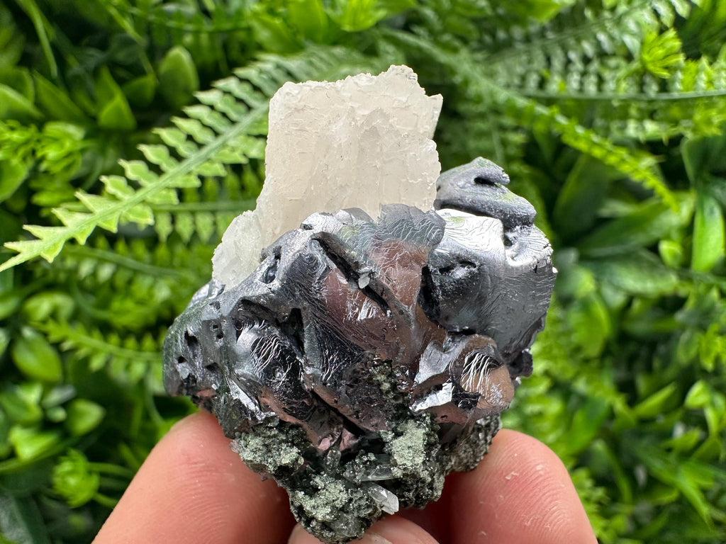 Shiny Galena with Calcite on Quartz, Chlorite Specimen