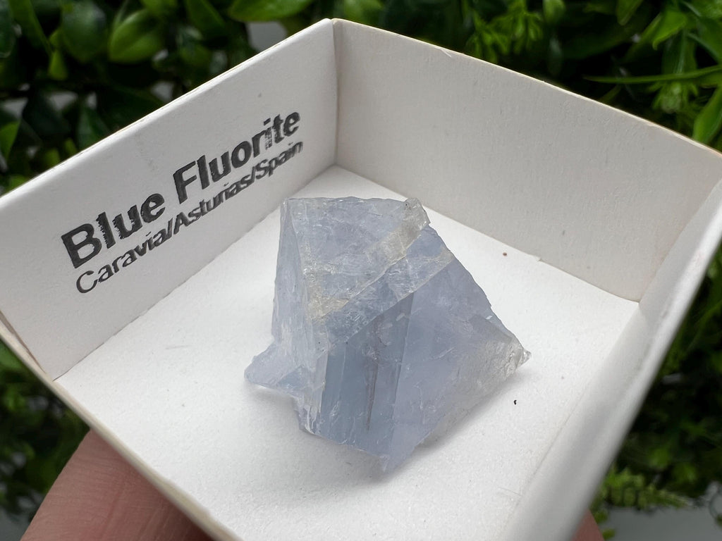 Blue Fluorite Mineral Specimen: Spain Collection (2.5/2.5 cm)