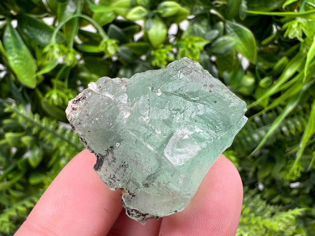 Rare Rainbow Fluorite Cube: Raw Crystal from Mexico, Meditation Stone