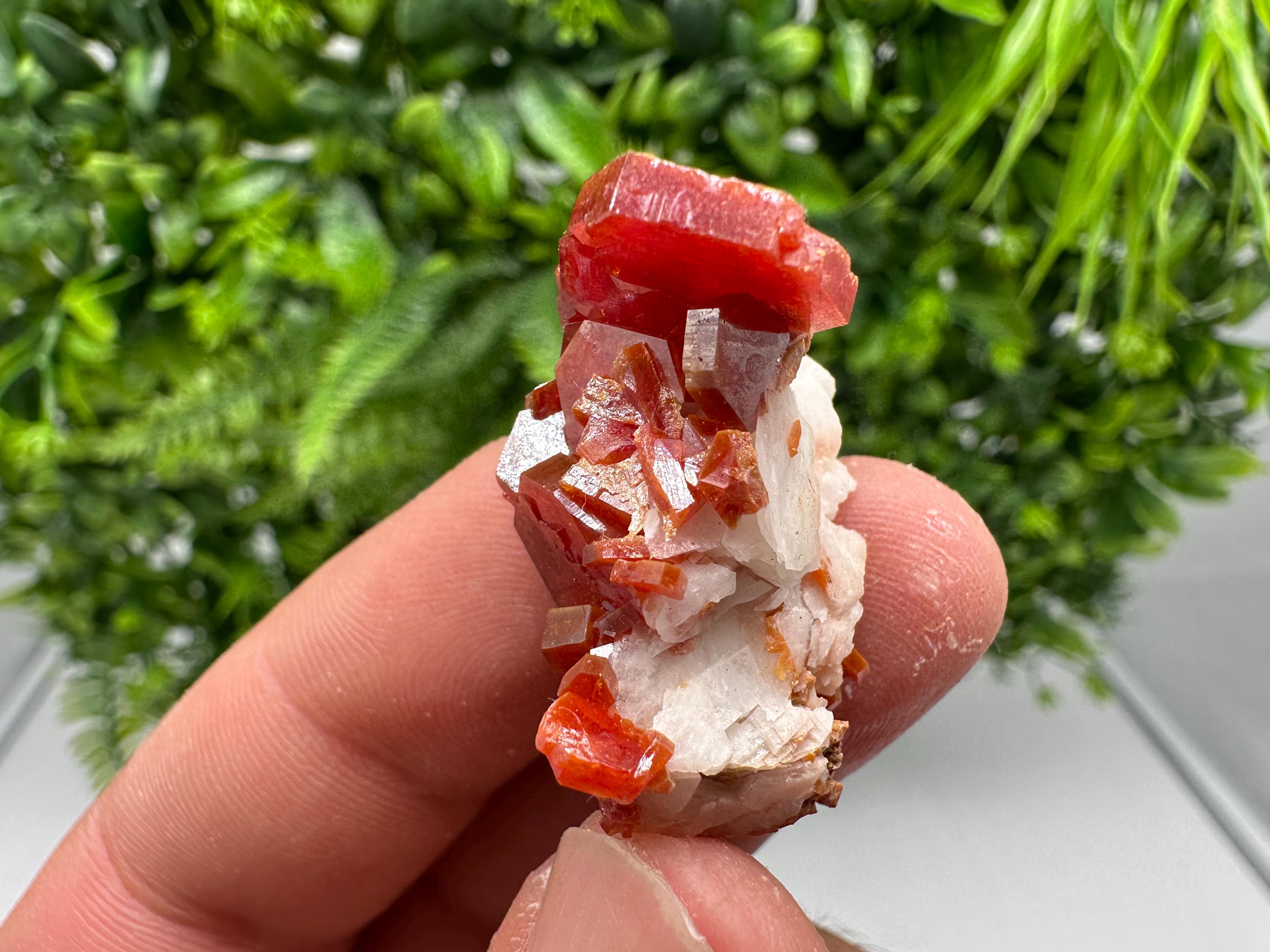 Red Vanadinite on Barite from Marocco,crystal minerals Speciment cluster Vanadinite crystal Vanadinite Geology Vanadinite cluster minerals