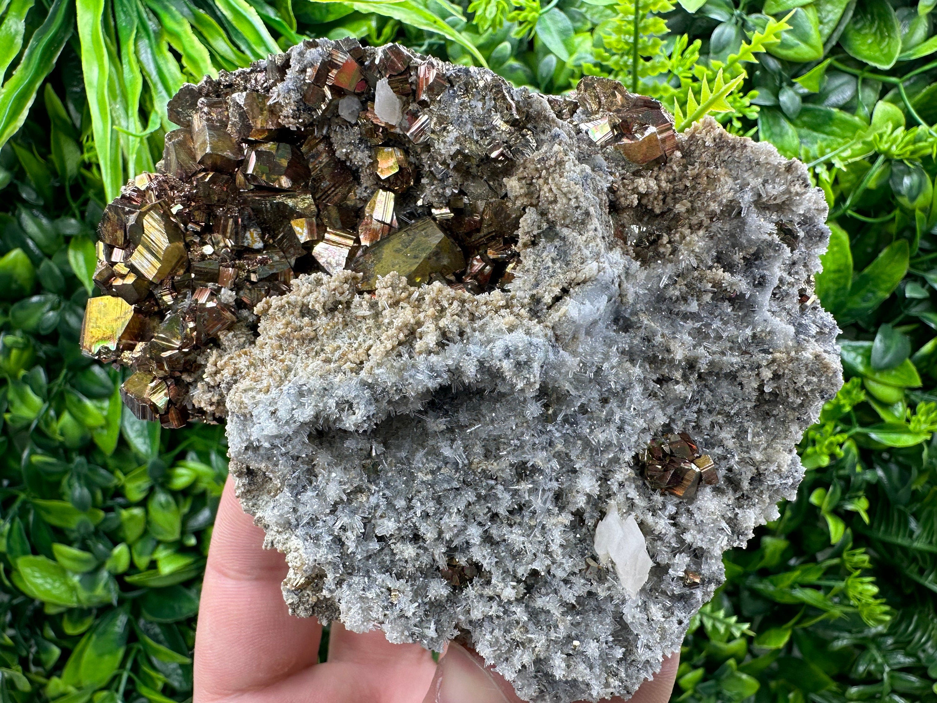 Pyrite on Quartz and Calcite: Natural Mineral Collection, Borieva Bulgaria