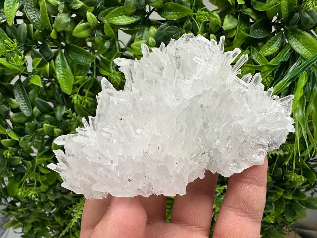 Stunning Transparent Quartz,from Borieva mine,natural collection mineral specimen rare crystal,home decor crystal,quartz cluster,Quartz,gift